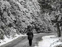 Καιρός: Χιόνια και βουτιά της θερμοκρασί...