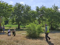Πάτρα: Φύτευσαν πλατάνια στο Πλατανόδασος- ΦΩΤΟ