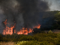 Νεκρός ο 67χρονος που υπέστη εγκαύματα σ...