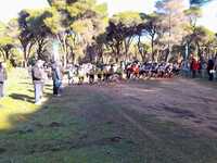 Τα αποτελέσματα στο πρωτάθλημα ανωμάλου ...