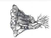 Πάτρα: Αφηγήσεις Παραμυθιών με τον Ταξιά...