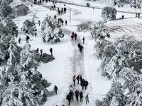 SMS 13033: Με κωδικό μετακίνησης 6 για χ...