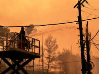 Φωτιά στην Ηλεία: Για εμπρησμό μιλάει ο ...