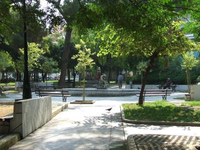 Πάτρα: Αναστάτωση στην πλατεία Όλγας - Α...