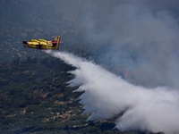 Μεσολόγγι: Μεγάλη φωτιά στην Αστροβίτσα