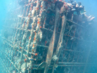 Τι συνέβη όταν 1.250 φιάλες Μαυροδάφνης ...