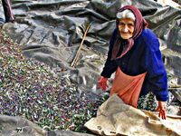 Έφυγε από τη ζωή η γιαγιά «σύμβολο» από ...