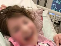 Τουλγαρίδης στο thebest.gr για την καταγ...