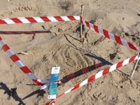 Εμφανίστηκαν οι πρώτες φωλιές Caretta - ...
