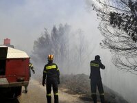 Εναέρια και πεζοπόρα τμήματα στη νέα φωτ...