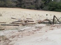 Νέοι βανδαλισμοί στο εθνικό πάρκο Κοτυχί...