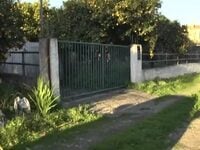 Ναύπακτος: Νέα στοιχεία για το θάνατο τω...