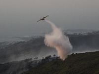 Μεγάλη πυρκαγιά στη Νέα Μάκρη