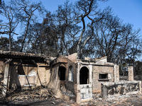 Φωτιά Ζήρια: Θα τη χαρτογραφήσει τo Cope...