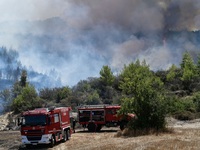 Πυρκαγιές στην Ηλεία: Υπό έλεγχο η φωτιά...