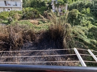 Αρόη: Έλιωσαν πατζούρια, κάηκαν απλωμένα...