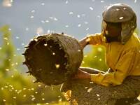 Με επιτυχία πραγματοποιήθηκε το Φεστιβάλ...