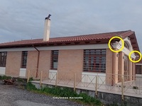 Πάτρα: Τοποθετήθηκαν κάμερες στον πολυχώ...