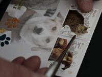 Τα αδέσποτα ζώα γιορτάζουν και γίνονται ...