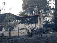 Στα 126 τα καμένα σπίτια στην Πεντέλη