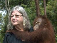 Η γυναίκα που ζει με τους ουρακοτάγκους!