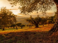 Κινητοποίηση από την Επιτροπή Αγώνα Λεοντίου