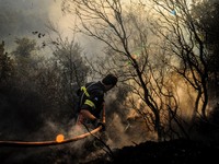 Μία σύλληψη για τη φωτιά στα Τσαμέικα Δυτικής Αχαΐας