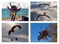 Οι ανεμοπτεριστές που «έβαλαν χρώμα» στο...