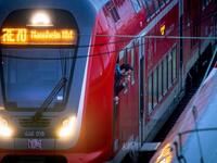 Γερμανία: Στη φυλακή ο 26χρονος ξυλοκόπη...