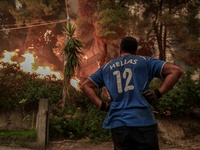 Εύβοια: Συγκλονιστικό βίντεο με την κατα...