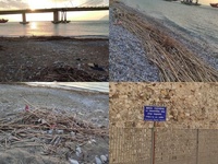 Πάτρα: Ο σκουπιδότοπος στην παραλία του ...