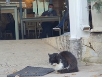 Η χαλαρή όψη της επίσκεψης Τσίπρα