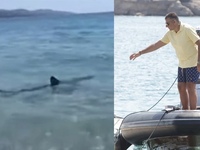 Καρχαρίας πλησίασε το σκάφος στο οποίο ...