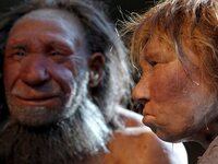 Όταν οι άνθρωποι έτρωγαν ελέφαντες, ρινό...