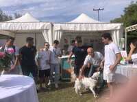 Welcome to UP 2024: Παίκτες του Απόλλωνα...