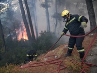 100 πυρκαγιές από το Σάββατο μέχρι τη Δε...