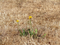Καυτός ο φετινός Ιούνης στην Ελλάδα – Έσ...
