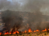 Πυρκαγιά ξέσπασε στη Φωκίδα - Επιχειρούν...