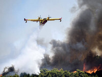 Φωτιά εκδηλώθηκε στο Ελληνικό Αρκαδίας