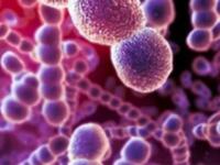 Η Φυματίωση είναι εδώ και αξίζει την προσοχή μας!