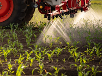 «Γεμάτο» φυτοφάρμακα το 70% των εδαφών τ...