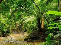 Αριθμός-ρεκόρ μεταναστών πέρασαν την επι...