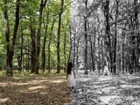 Αρχαία Ολυμπία: Η καταστροφή από τις φωτ...