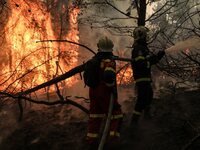 Σαρώνει το μέτωπο στη Γορτυνία, μάχη να ...