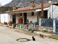 Αιτωλοακαρνανία: «Δεν έχουν ομολογήσει ο...