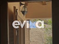 Εύβοια: Φίδι σκαρφάλωσε στο παντζούρι σπιτιού 