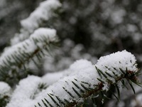  Το' στρωσε στην Βλασία Καλαβρύτων-ΔΕΙΤΕ ΒΙΝΤΕΟ