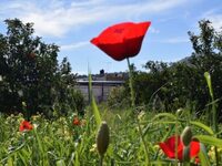 Ο καιρός της Μεγάλης Εβδομάδας και την Κ...