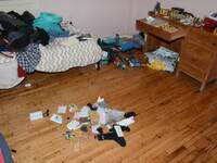 Ο ρόλος «κλειδί» 25χρονου συνεργού του «...