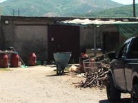 Ρέθυμνο: Κάμερα «έπιασε» την επίθεση στο...